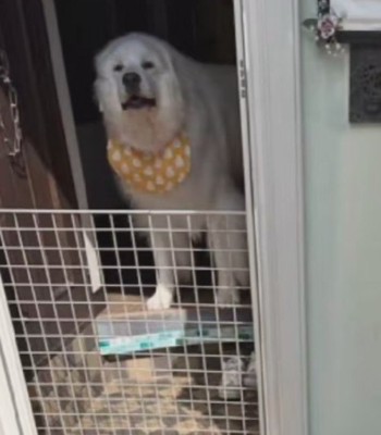 愛犬のミントちゃんでした♡