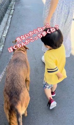 男の子を守る咲太郎くん4