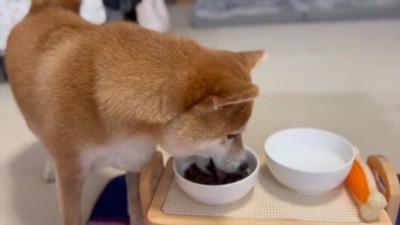 ごはんを食べるひまりちゃん