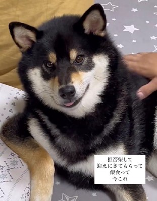 あまりにも偉そう