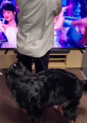 ななちゃんが寄ってきた