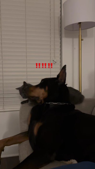 頭が当たってしまった