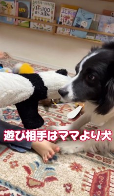 マックスくん＆ロイくんと育った男の子7