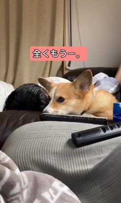体調不良の男の子に付き添うチリちゃん7