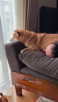 自分の顔の上に乗っている犬に声をかける男性
