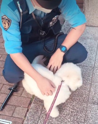 警察官が大好き!!