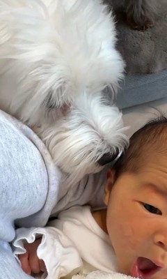 念入りに匂いをチェック