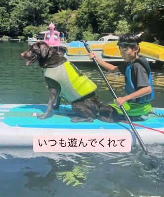 水上ボードに乗っている子どもと犬