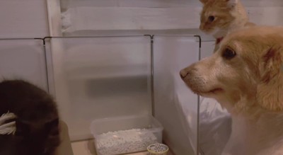 感情を教えてくれw