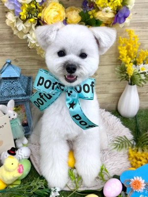 撮影するぽんずくん