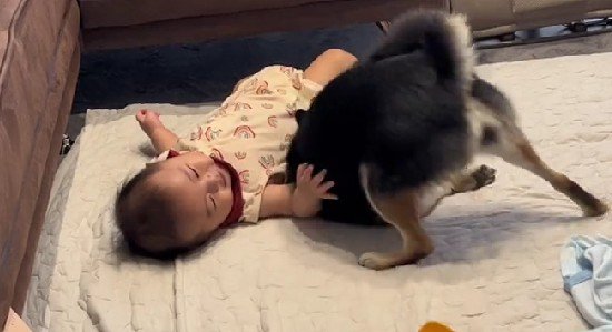 なかなか成功しない…