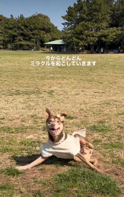 突然立ち上がろうとした