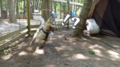 泥だらけのフィンくん