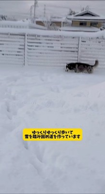 「これで兄ちゃんも歩けるね」