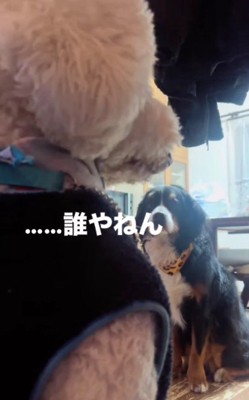 「誰やねん、お前…」「誰やねん、お前…」