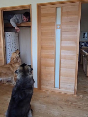 尻尾を振って押し入れへ