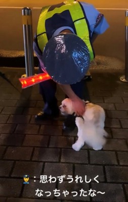 警備員に撫でられながら満足そうな犬