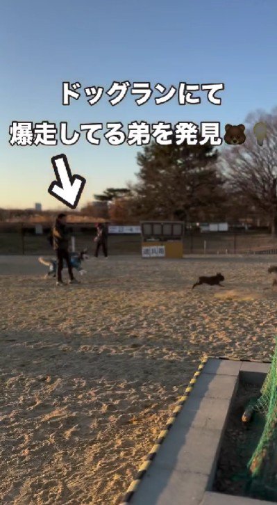 みんなでドッグランへ