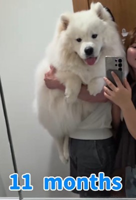 一応まだ子犬期です…