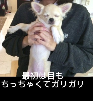 体の状態もよくなさそう