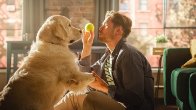 テニスボールを持っている男性と犬