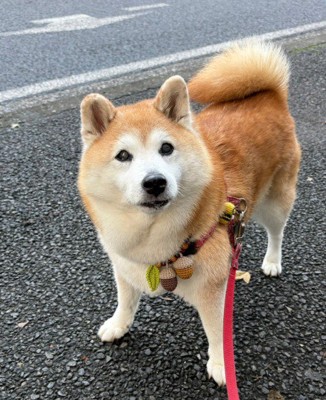 スン…