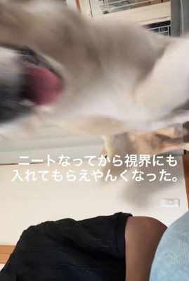 通り過ぎただけだった