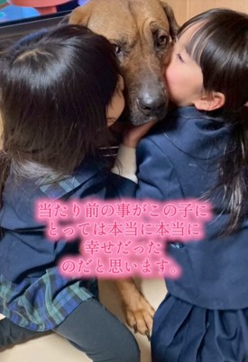 寄り添って眠る犬と女の子