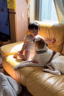 成長した大夢くん