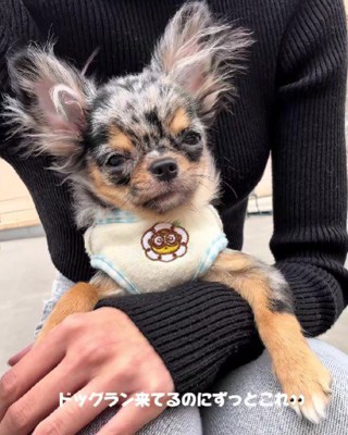 少しずつ慣れて行こう！