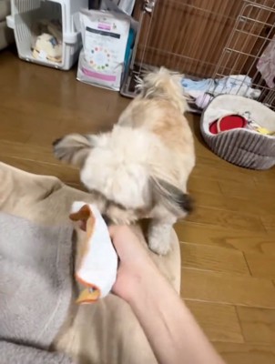 ハンカチを受け取る