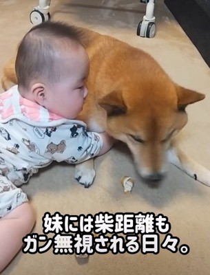 友好的な娘さんに困惑