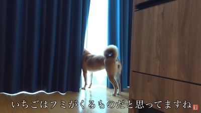 フミさんが来るの！？