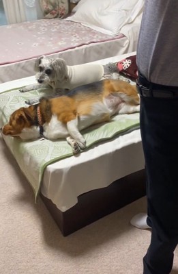 横に立つおじいちゃん