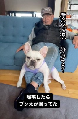 目を細めるブン太くん