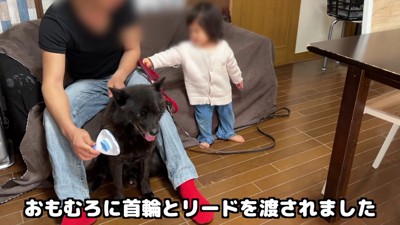 「お散歩に行きたい！」