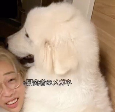女性にのしかかる犬