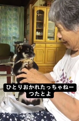 おばあちゃんを見るあさちゃん