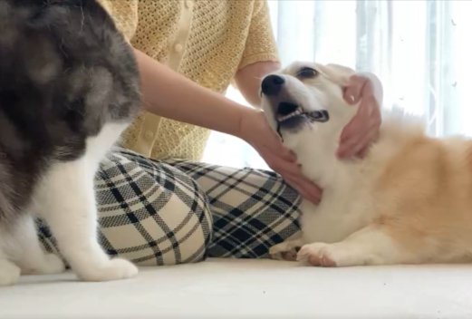 撫でて