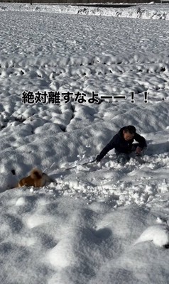 起き上がる飼い主と進もうとする柴犬