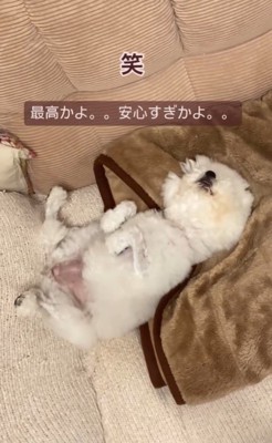 まめちゃんの変化5