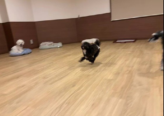 ひゃっほーい！！！