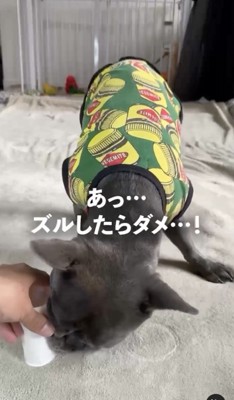 グググググググ