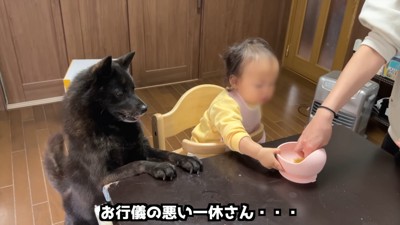 おかわりを催促