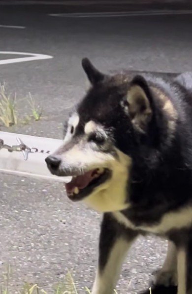 「休むことも大切だよね」