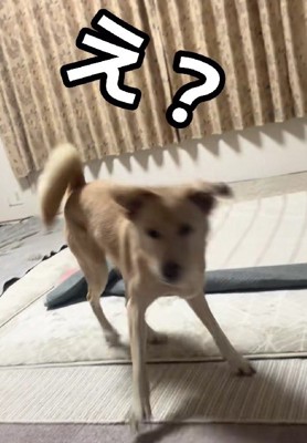 お転婆っ子に変貌!!