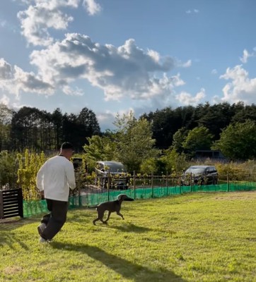 外を走り回る犬