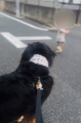 あざちゃんと男の子