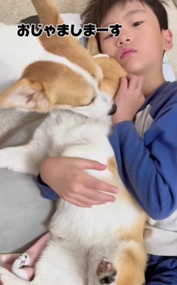 ナッツちゃんも寄ってきた