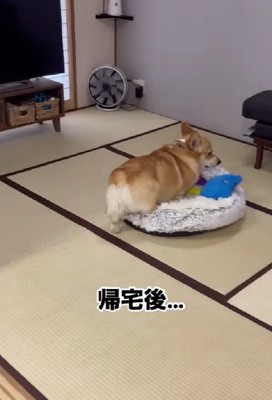 家に戻ってくると…